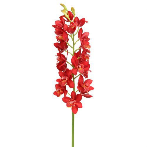 Floristik21 Orchidee Cymbidium Rot 78cm