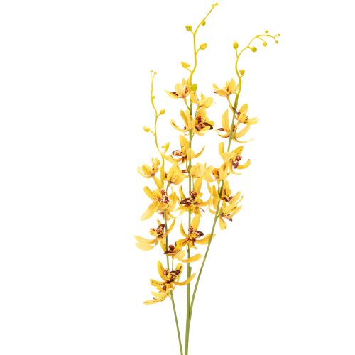 Künstlicher Cymbidium Blütenstiel 95cm Gelb-Grün-Bordeaux 2er Set für elegante Dekoration