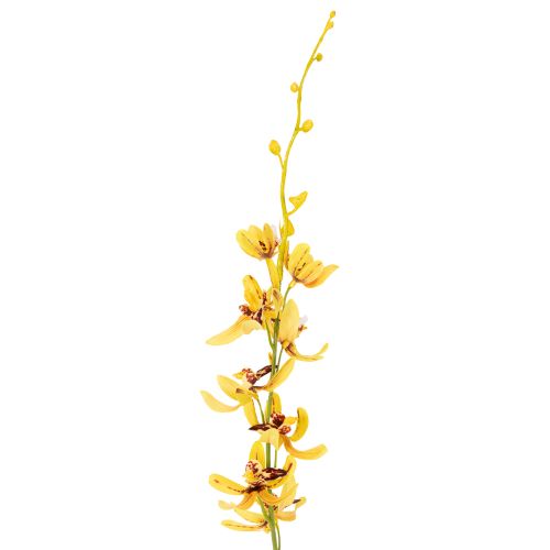 Artikel Künstlicher Cymbidium Blütenstiel 95cm Gelb-Grün-Bordeaux 2er Set für elegante Dekoration