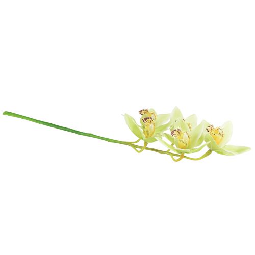 Artikel Cymbidium Orchidee künstlich 5 Blüten Grün 65cm