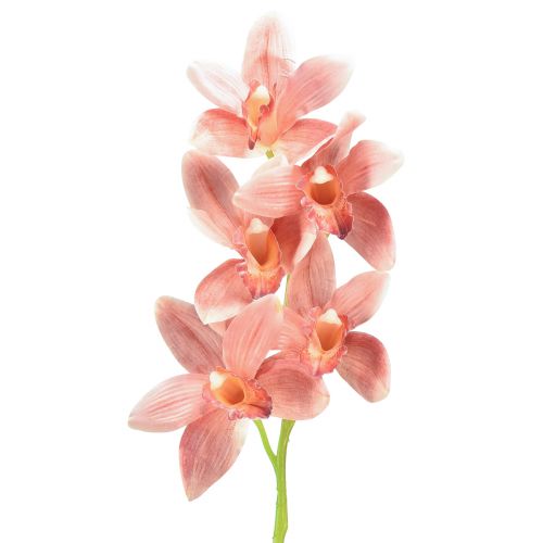Floristik21 Cymbidium Orchidee künstlich 5 Blüten Peach 65cm