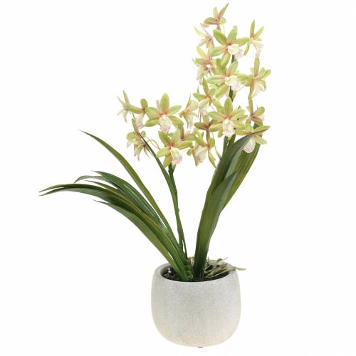 Floristik21 Orchidee Cymbidium Grün im Topf Künstlich H46cm