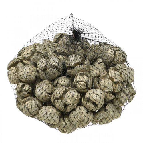 Zypressenzapfen Natur, Weihnachtsdeko, Bastelzapfen vergoldet Ø2–3cm H2,5–3,5g 330g