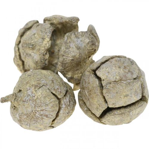 Zypressenzapfen Natur, Weihnachtsdeko, Bastelzapfen vergoldet Ø2–3cm H2,5–3,5g 330g
