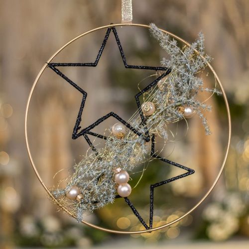 Floristik21 DIY Box Fensterdeko Weihnachten Schwarz Gold Draht Ø30cm