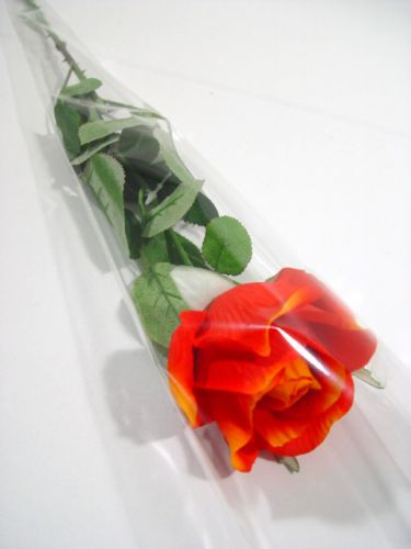 Floristik21 Blumentüte für 1 Rose "Blanko" L65cm B14cm - 3cm 50 St