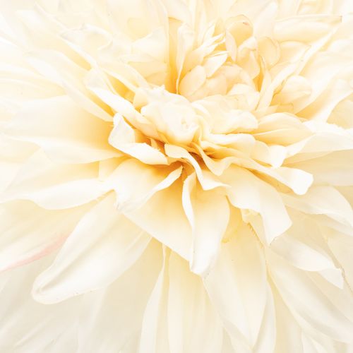Künstliche Dahlienblume 68cm Cremeweiß für Innenraumdekoration | Floristik21.de
