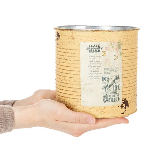 Deko Dose Apricot Pflanztopf