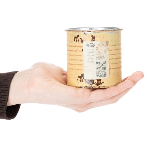 Deko Dose Sommer Apricot Metalldose Pflanztopf Ø8cm H7,5cm | Floristik21.de
