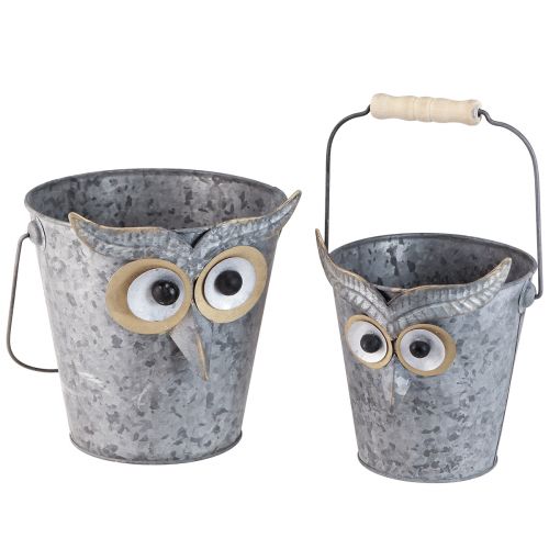 Floristik21 Zink Deko-Eimer Eule, Set aus 2, Henkel mit Holzgriff, Vielseitiger Übertopf Ø15/19cm