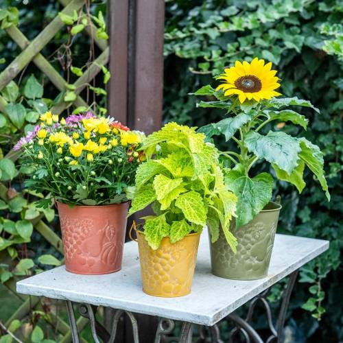 Deko-Eimer Früchte Gelb, Orange, Grün gewaschen Ø15cm H14cm 3er-Set