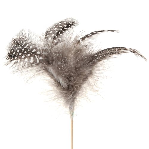 Floristik21 Deko Federn Perlhuhn gepunktet 35cm 12St Natur Basteln