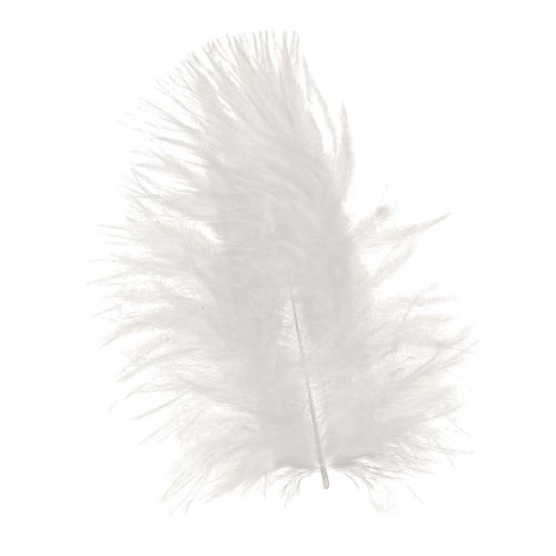 Floristik21 Weiße Deko Federn 5–10cm 20g Frühling Bastelbedarf kaufen