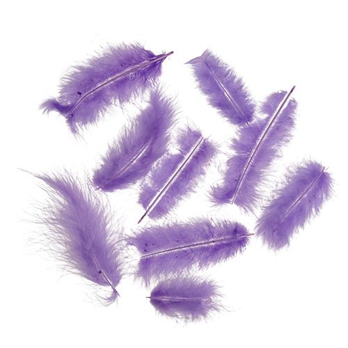 Floristik21 Federn kurz 30g Hellviolett