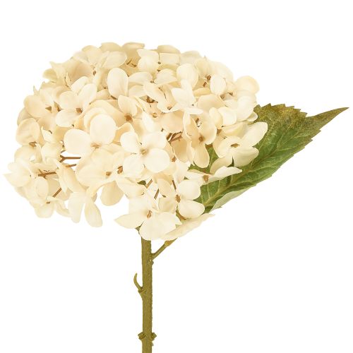 Deko Hortensien künstlich Creme Seidenblumen 34cm 2St – Elegante Raumdeko