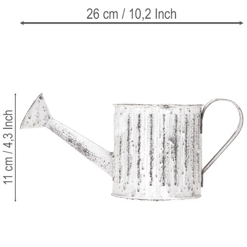 Deko-Kanne, Pflanzgefäß, Gießkanne zum Bepflanzen Ø10,5cm | Floristik21.de
