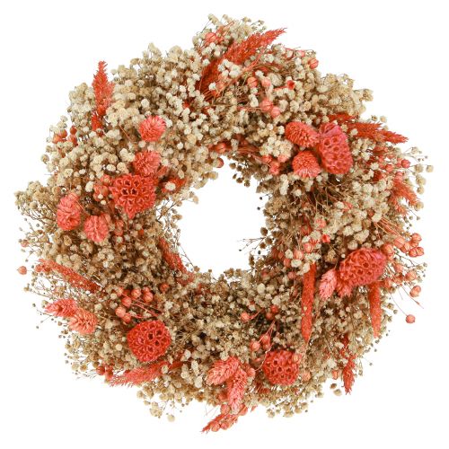 Floristik21 Deko Kranz Trockenblumen Orange Creme Ø25cm – stilvolle Boho Dekoration für Tür und Wand