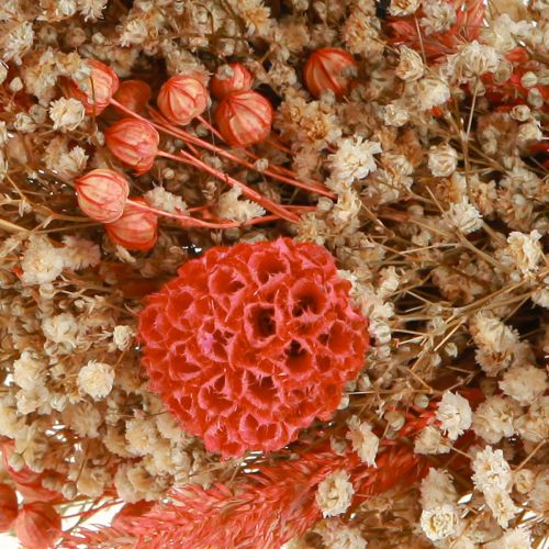 Artikel Deko Kranz Trockenblumen Orange Creme Ø25cm – stilvolle Boho Dekoration für Tür und Wand