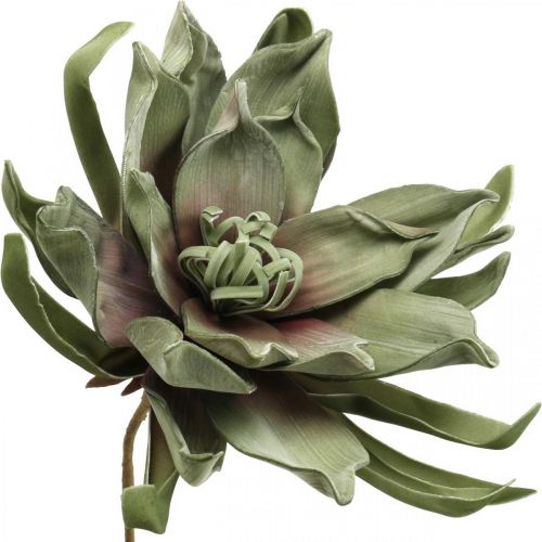 Deko Lotusblüte Künstlich Lotosblume Kunstblume Grün L70cm