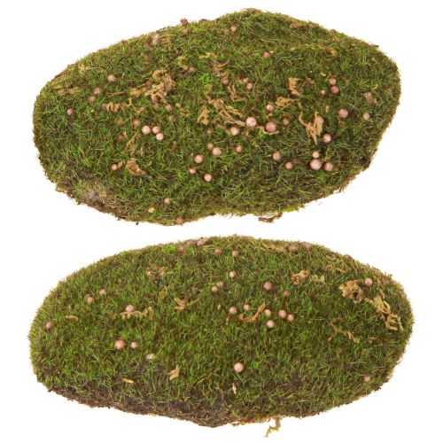 Floristik21 Deko Moos künstlich Moosschwamm Moosballen 14cm 2St - Perfekte Tischdeko & Gestecke