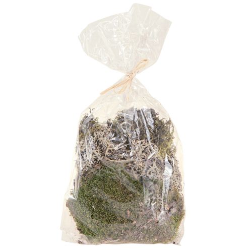 Artikel Deko-Moos zum Basteln Mix Grün, Hellgrün Naturmoos 75g