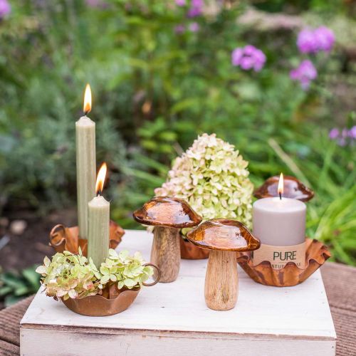 Deko Pilz Mangoholz Herbstdeko Ø7cm H9cm 4St