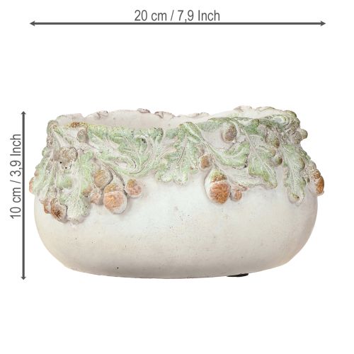 Artikel Deko Schale Steinguss mit Eicheln Pflanzschale rustikal 20cm
