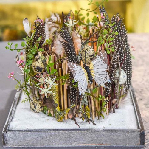 Deko Schmetterling mit Metallclip Natur Silber sortiert H4,9cm/5,8cm/7,4cm 6St im Set | Floristik21.de