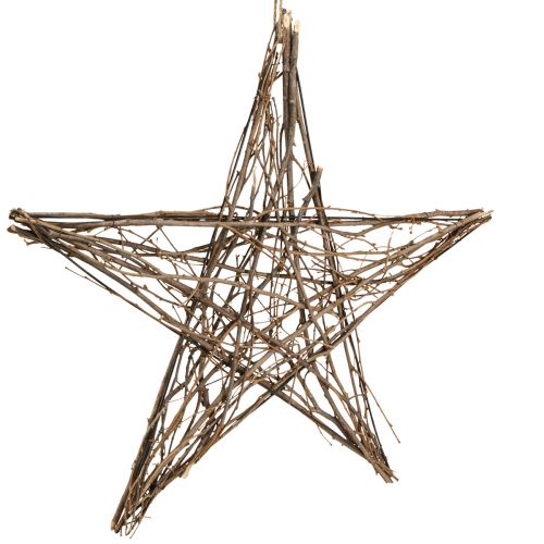 Floristik21 Weihnachtsstern zum Hängen aus Zweigen, Natürliche Dekoration, 60cm