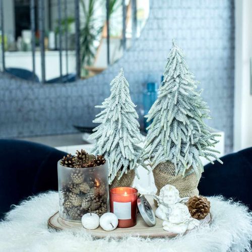 Floristik21 Deko-Tanne mit Schnee, Adventsdeko, Tannenbaum im Topf H37cm