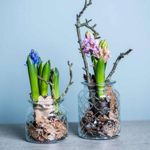 Deko-Windlicht Rautenmuster, Glas-Gefäß, Vase aus Glas, Kerzendeko 2St