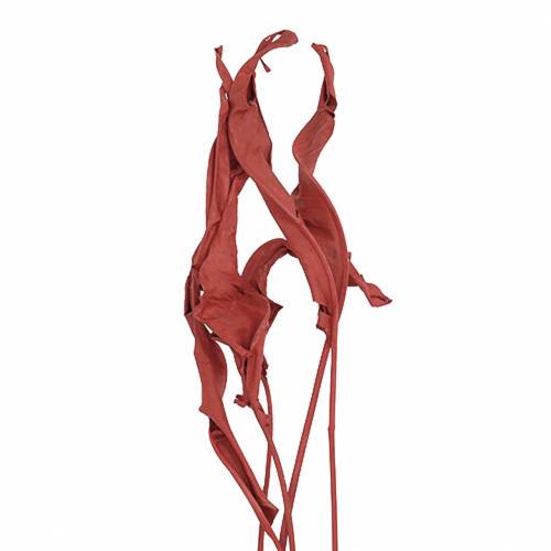 Floristik21 Deko Blätter Strelitzie Rot 85-105cm 10 St