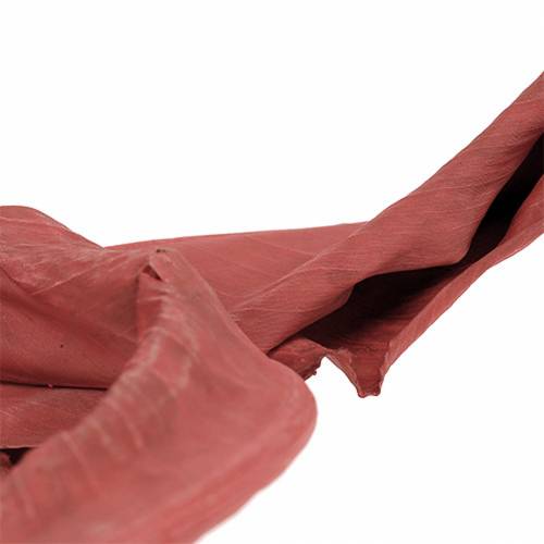 Floristik21 Deko Blätter Strelitzie Rot 85-105cm 10 St