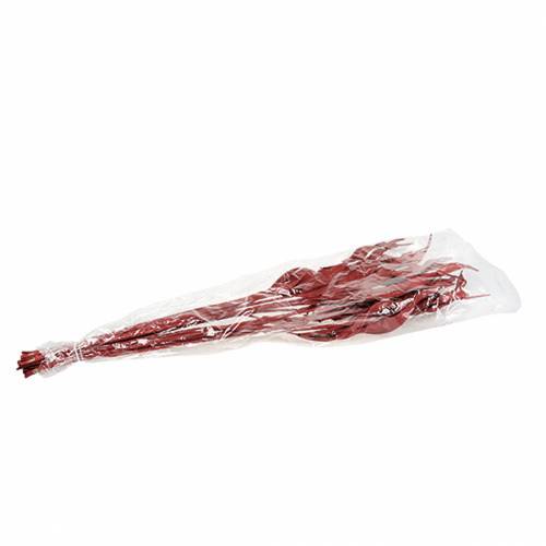 Floristik21 Deko Blätter Strelitzie Rot 85-105cm 10 St