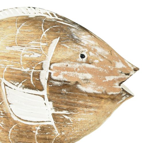 Floristik21 Deko-Fisch Holz Aufsteller auf Wurzel Maritime Deko 27cm
