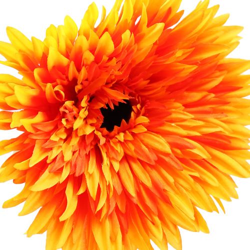 Floristik21 Deko Gerbera Orange Ø15cm L88cm