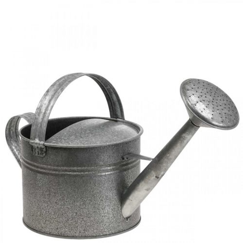 Deko Gießkanne Zink zum Bepflanzen Pflanzkanne H27cm