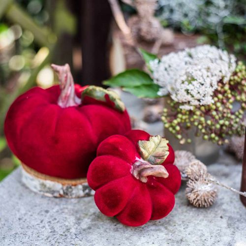 Deko Kürbis Rot Tischdeko Herbst Polyresin 10,5×9cm 2St