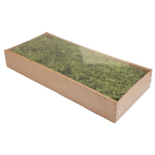 Artikel Deko Moos getrocknet Waldmoos Grün Naturdeko 300g