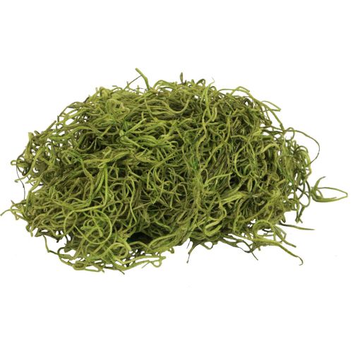 Floristik21 Deko Moos getrocknet Waldmoos Grün Naturdeko 300g