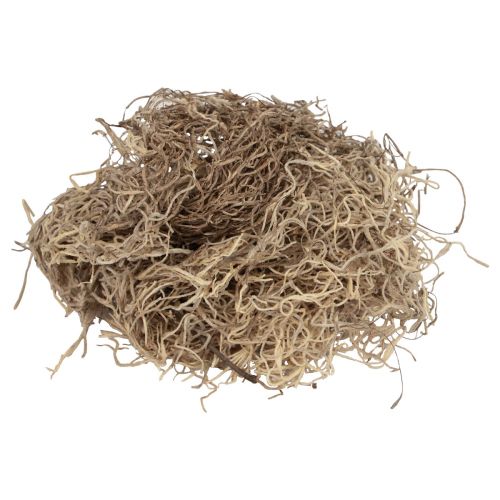 Deko Moos getrocknet Waldmoos Naturbraun Naturdeko 300g
