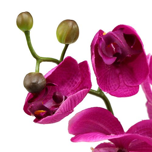 Floristik21 Deko Orchidee Pink L77cm