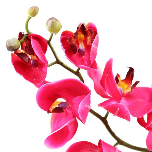 Artikel Deko Orchidee in Fuchsia 77cm