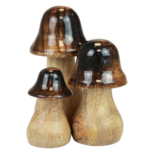 Artikel Deko Pilze Holzpilze Braun Glanz Effekt Herbstdeko H6/8/10cm