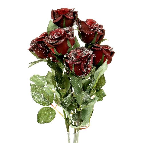 Floristik21 Deko Rose rot beschneit Ø6cm 6St