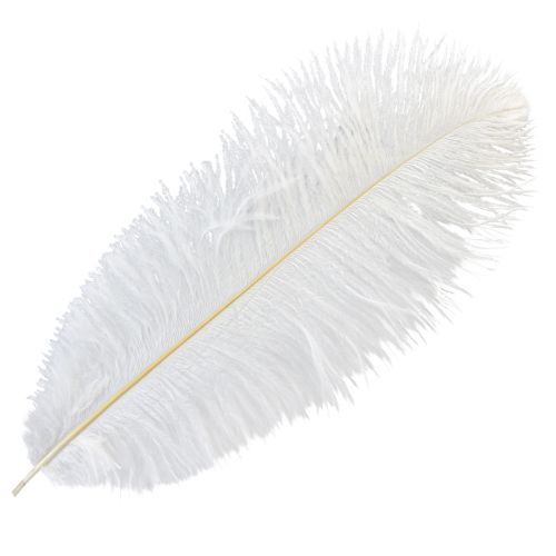 Floristik21 Deko Straußenfedern Echte Federn Weiß 38-40cm 2 St