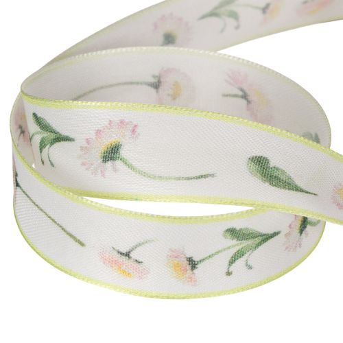 Geschenkband Bellis