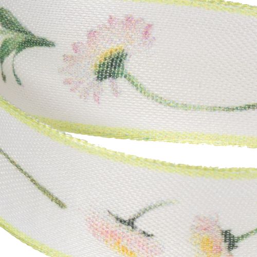 Geschenkband Bellis