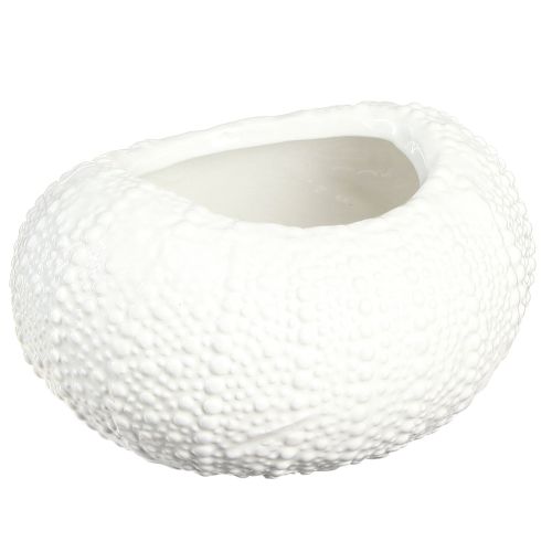 Artikel Dekoschale Keramik Maritim Weiß Oval 19x15x8,5cm - Elegante Wohnaccessoires