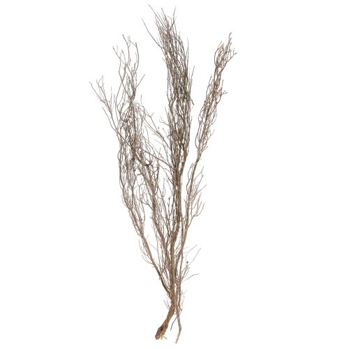 Floristik21 Getrocknete Thymianzweige Natur-Deko 500g – Vielseitig für Floristik und DIY